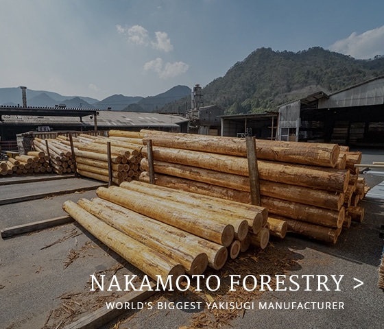 Vista de la sede de Nakamoto, con troncos de madera y montañas.