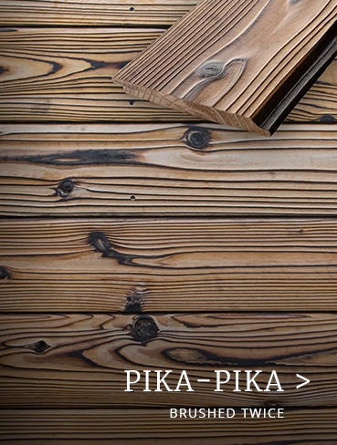 Vista de superficie y de perfil de Pika-Pika Yakisugi